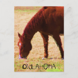 放牧 ポストカード