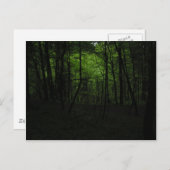 放置された暗黒の森 ポストカード (正面/裏面)