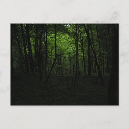 放置された暗黒の森 ポストカード (正面)