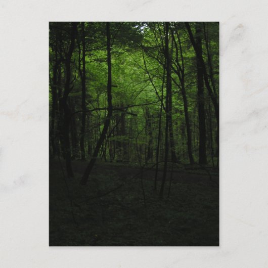 放置された暗黒の森 ポストカード (正面)