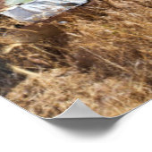 放置された農場の前で錆びた車 ポスター (角)