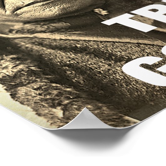 政府のポスター負傷者ニーマースカーを信頼する ポスター (角)