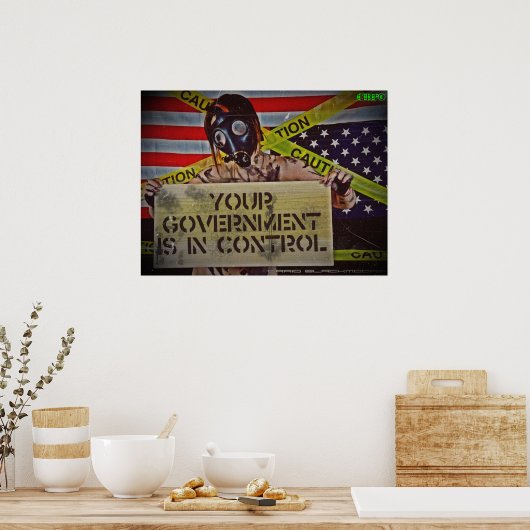 政府の統制 ポスター (キッチン)