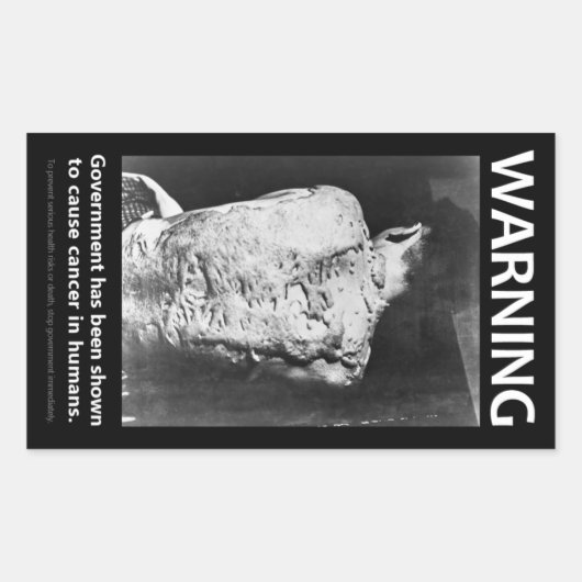 政府の警告ステッカー 長方形シール (正面)