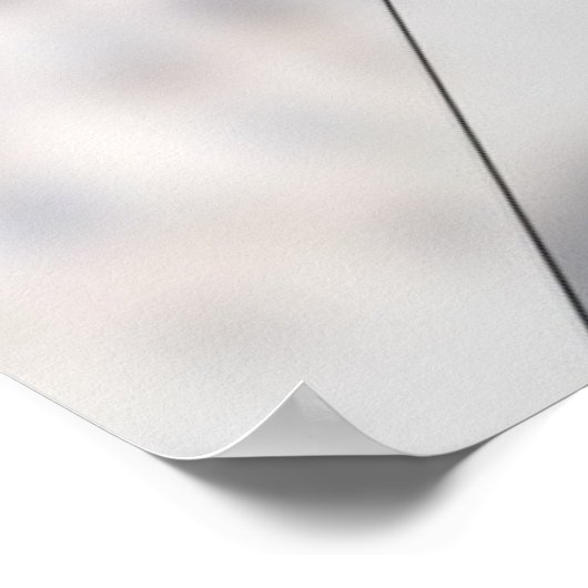 政府機関の3つの支店*更新* ポスター (角)