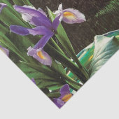 政治おもしろい的なジョークの森の気候変動の風刺 薄葉紙 (詳細)