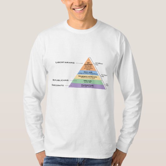 政治の階層 Tシャツ (正面)
