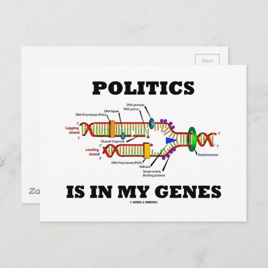 政治は私の遺伝子のDNAユーモアにある ポストカード (正面/裏面)
