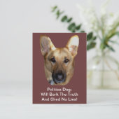 政治ドイツの羊飼い犬が真実を叫ぶ ポストカード (スタンド正面)