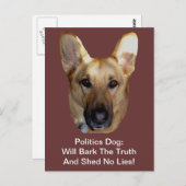 政治ドイツの羊飼い犬が真実を叫ぶ ポストカード (正面/裏面)