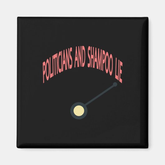 政治家とシャンプーの嘘 マグネット (正面)