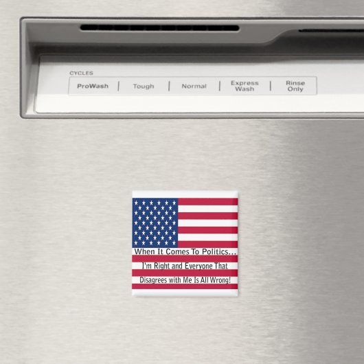 政治来の時代 マグネット (インサイチュ (食洗機))