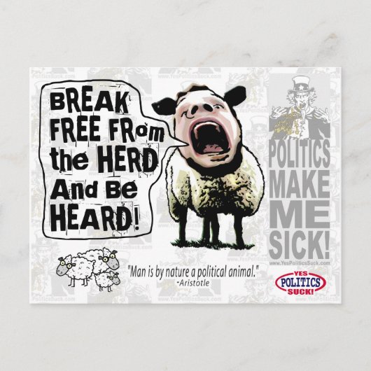 政治的なヒツジの人々の叫び ポストカード (正面)