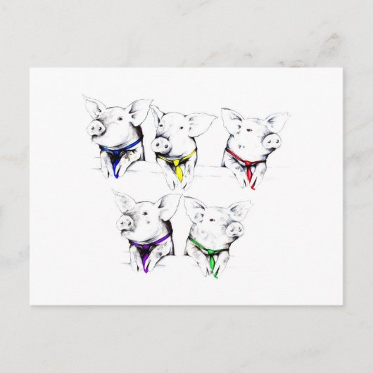 政治豚（ポストカード） ポストカード (正面)