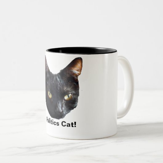 政界の主導権は無い ツートーンマグカップ (正面右)