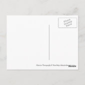 故殺 ポストカード (裏面)