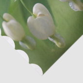 敏感で白い大げさに同情する人 薄葉紙 (詳細)