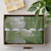 敏感で白い大げさに同情する人 薄葉紙 (ギフト)