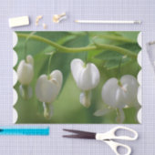 敏感で白い大げさに同情する人 薄葉紙 (クラフト)