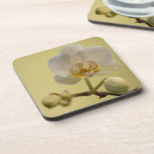 敏感で白い蘭 コースター (左側)