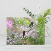 敏感なタンポポの抽象芸術 サンキューカード (スタンド正面)