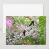 敏感なタンポポの抽象芸術 サンキューカード (正面/裏面)