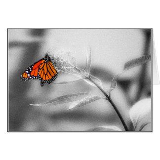 敏感なバランス