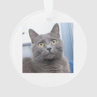 救いのクリスマスのオーナメント オーナメント