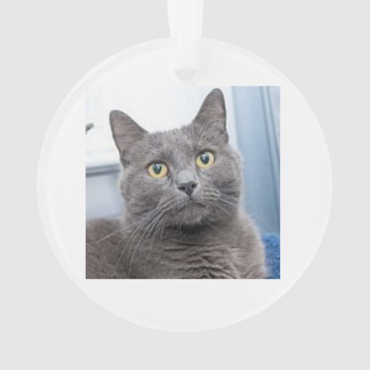 救いのクリスマスのオーナメント オーナメント (裏面)