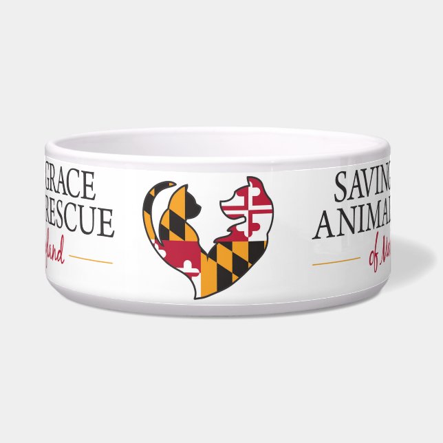 救いの大きいボール ボウル (正面)