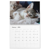 救の人生は最高の カレンダー (2月 2026)