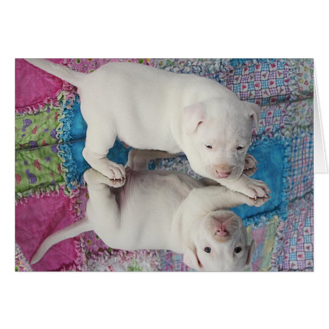 救われた4 1週間目の子犬 (正面横)