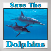 救イルカ ポスター (正面)