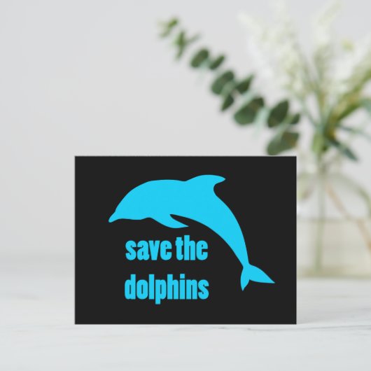 救イルカ ポストカード (スタンド正面)