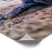 救ウミガメ ポスター (角)