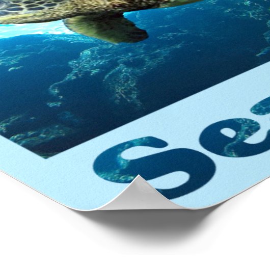 救ウミガメ ポスター (角)