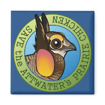 救トーターのプレーリーチキン