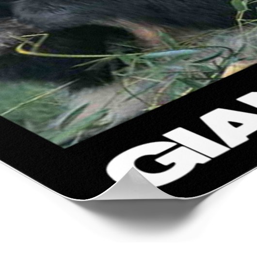 救パンダ ポスター (角)