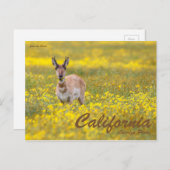 救パークス ポストカード (正面/裏面)