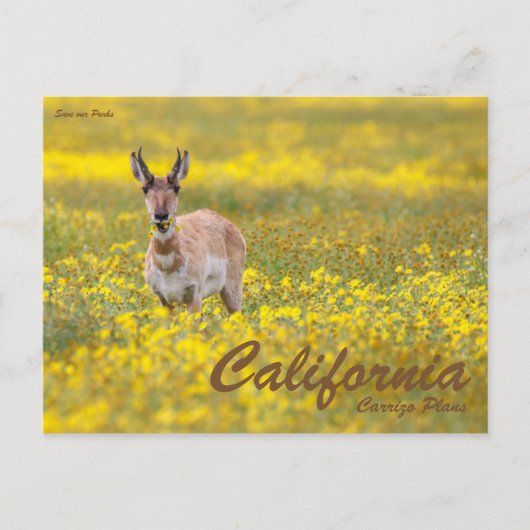 救パークス ポストカード (正面)