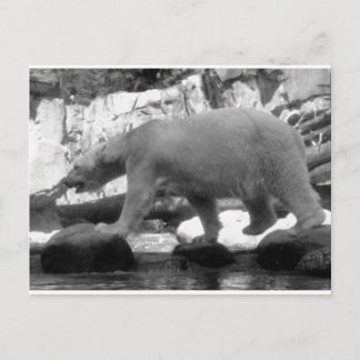 救ホッキョクグマ ポストカード