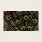 救モダンドのシエレガントック・ピーコック (裏面)