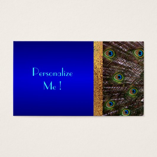 救モダンドのシエレガントック・ピーコック (正面)