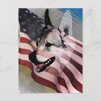 救出されたペットとベット ポストカード