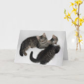 救出された子猫あいさつ空白のきカード二人 カード (黄色い花)