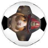 救出の準備：火の虫の帽子をかぶったモルモット。 サッカーボール (回転)