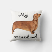 救出ダシュント クッション (裏面)