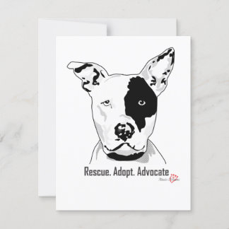 救出。採用。Advocateカー空白のド