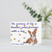 救出。買い物をするな。 ポストカード (スタンド正面)