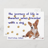 救出。買い物をするな。 ポストカード (正面/裏面)